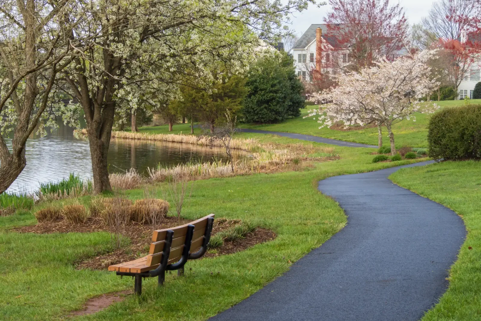A scenic walking path winds through green grass past a wooden bench overlooking a pond. Blooming trees frame the water, with large residential homes visible in the background.
